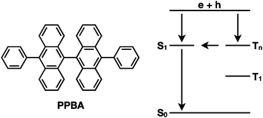 Graphical abstract: Absence of delayed fluorescence and triplet–triplet annihilation in organic light emitting diodes with spatially orthogonal bianthracenes