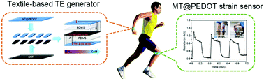 Graphical abstract: An efficient PEDOT-coated textile for wearable thermoelectric generators and strain sensors