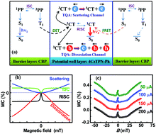 Graphical abstract: Extraordinary magnetic field effects mediated by spin-pair interaction and electron mobility in thermally activated delayed fluorescence-based OLEDs with quantum-well structure