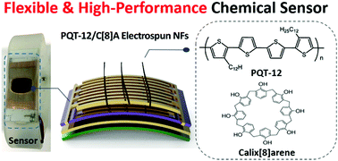 Graphical abstract: Highly flexible chemical sensors based on polymer nanofiber field-effect transistors