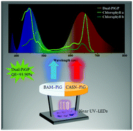 Graphical abstract: Highly efficient and dual broad emitting light convertor: an option for next-generation plant growth LEDs