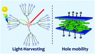 Graphical abstract: High hole mobility and light-harvesting in discotic nematic dendrimers prepared via ‘click’ chemistry