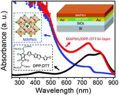 Graphical abstract: Broadband phototransistors realised by incorporating a bi-layer perovskite/NIR light absorbing polymer channel