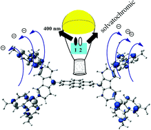 Graphical abstract: Bis(tercarbazole) pyrene and tetrahydropyrene derivatives: photophysical and electrochemical properties, theoretical modeling, and OLEDs