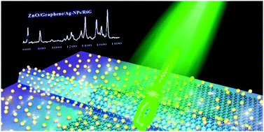 Graphical abstract: Femtomolar response of a plasmon-coupled ZnO/graphene/silver hybrid whispering-gallery mode microcavity for SERS sensing