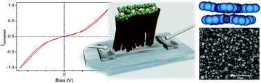 Graphical abstract: A tungsten oxide–lutetium bisphthalocyanine n–p–n heterojunction: from nanomaterials to a new transducer for chemo-sensing