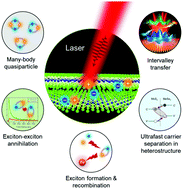 Graphical abstract: Ultrafast carrier dynamics in two-dimensional transition metal dichalcogenides