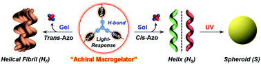 Graphical abstract: Construction of light-responsive phase chirality from an achiral macrogelator