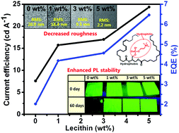 Graphical abstract: Influence of a lecithin additive on the performance of all-inorganic perovskite light-emitting diodes