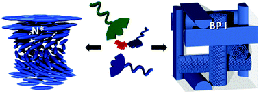 Graphical abstract: Hydrogen-bonded liquid crystals with broad-range blue phases