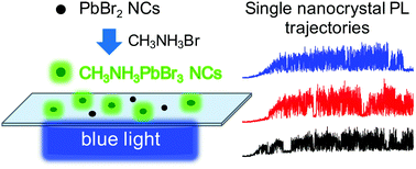 Graphical abstract: Fluorescence microscopy of single lead bromide nanocrystals reveals sharp transitions during their transformation to methylammonium lead bromide