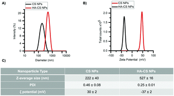 Graphical abstract: Cellular responses of hyaluronic acid-coated chitosan nanoparticles