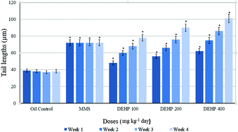 Graphical abstract: Genotoxic, histologic, immunohistochemical, morphometric and hormonal effects of di-(2-ethylhexyl)-phthalate (DEHP) on reproductive systems in pre-pubertal male rats