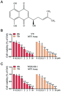 Graphical abstract: Shikonin-mediated up-regulation of miR-34a and miR-202 inhibits retinoblastoma proliferation