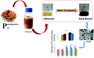 Graphical abstract: Evaluation of the antioxidant, antibacterial and anticancer (lung cancer cell line A549) activity of Punica granatum mediated silver nanoparticles