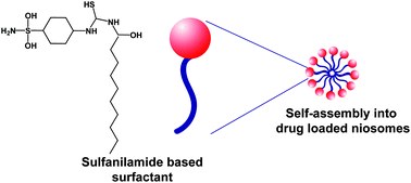 Graphical abstract: Hemolytic and cellular toxicology of a sulfanilamide-based nonionic surfactant: a niosomal carrier for hydrophobic drugs