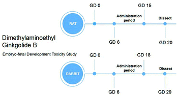 Graphical abstract: An embryo-fetal development toxicity study with dimethylaminoethyl ginkgolide B in rats and rabbits