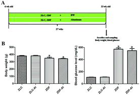 Graphical abstract: Effects of long-term exposure to aluminum in the hippocampus in the type 2 diabetes model rats
