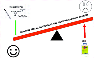 Graphical abstract: Protective effects of resveratrol on biomarkers of oxidative stress, biochemical and histopathological changes induced by sub-chronic oral glyphosate-based herbicide in rats