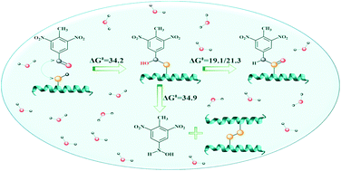 Graphical abstract: A theoretical insight into the reaction mechanisms of a 2,4,6-trinitrotoluene nitroso metabolite with thiols for toxic effects