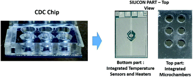 Graphical abstract: An innovative silicon-chip for sensitive real time PCR improvement in pathogen detection
