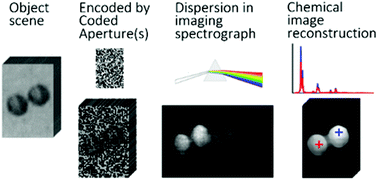 Graphical abstract: UV Raman chemical imaging using compressed sensing