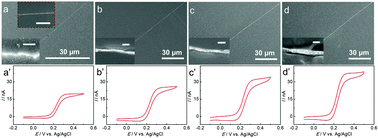 Graphical abstract: Nanoskiving fabrication of size-controlled Au nanowire electrodes for electroanalysis