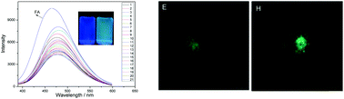 Graphical abstract: A fluorescent sensor for folic acid based on crown ether-bridged bis-tetraphenylethylene