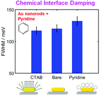 Graphical abstract: Influence of the capping material on pyridine-induced chemical interface damping in single gold nanorods
