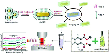 Graphical abstract: Bimetallic plasmonic Au@Ag nanocuboids for rapid and sensitive detection of phthalate plasticizers with label-free surface-enhanced Raman spectroscopy