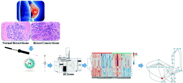 Graphical abstract: Volatomic pattern of breast cancer and cancer-free tissues as a powerful strategy to identify potential biomarkers