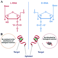 Graphical abstract: Exploiting the application of l-aptamer with excellent stability: an efficient sensing platform for malachite green in fish samples