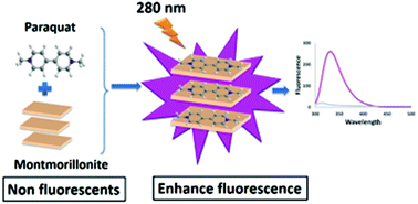 Graphical abstract: Fluorescence enhancement novel green analytical method for paraquat herbicide quantification based on immobilization on clay