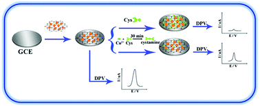 Graphical abstract: An OFF–ON detection method for copper(ii) ions using a AgAu-NG nanocomposite modified electrode