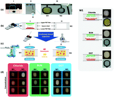 Graphical abstract: Improvement of biosensor accuracy using an interference index detection system to minimize the interference effects caused by icterus and hemolysis in blood samples