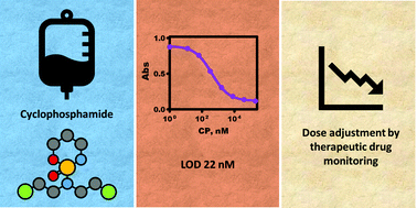 Graphical abstract: A high-specificity immunoassay for the therapeutic drug monitoring of cyclophosphamide