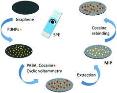 Graphical abstract: Electrochemical sensing of cocaine in real samples based on electrodeposited biomimetic affinity ligands