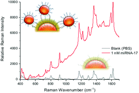 Graphical abstract: A SERS approach for rapid detection of microRNA-17 in the picomolar range