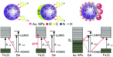 Graphical abstract: High-affinity Fe3O4/Au probe with synergetic effect of surface plasmon resonance and charge transfer enabling improved SERS sensing of dopamine in biofluids