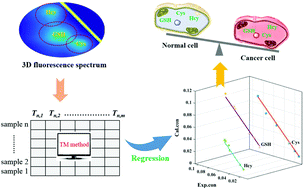 Graphical abstract: Simultaneous quantification of multiple endogenous biothiols in cancer cells based on a multi-signal fluorescent probe