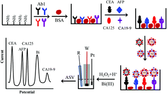 Graphical abstract: A ratiometric electrochemical sensor for multiplex detection of cancer biomarkers using bismuth as an internal reference and metal sulfide nanoparticles as signal tags