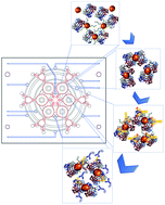 Graphical abstract: Optimization of an enzyme linked DNA aptamer assay for cardiac troponin I detection: synchronous multiple sample analysis on an integrated microfluidic platform