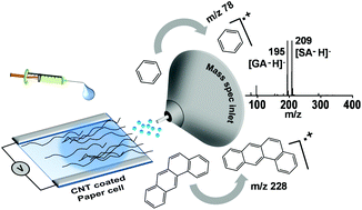 Graphical abstract: In situ monitoring of electrochemical reactions through CNT-assisted paper cell mass spectrometry