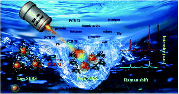 Graphical abstract: Monitoring 2,3′,5,5′-tetrachlorobiphenyl with a rapid and sensitive environmental aptamer sensor