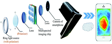 Graphical abstract: Smartphone based multispectral imager and its potential for point-of-care testing