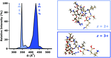 Graphical abstract: Composition and charge state influence on the ion-neutral collision cross sections of protonated N-linked glycopeptides: an experimental and theoretical deconstruction of coulombic repulsion vs. charge solvation effects