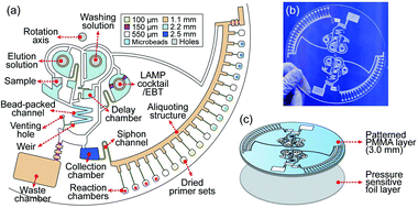 Graphical abstract: Combination of a centrifugal microfluidic device with a solution-loading cartridge for fully automatic molecular diagnostics