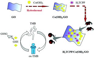 Graphical abstract: Porphyrin functionalized Co(OH)2/GO nanocomposites as an excellent peroxidase mimic for colorimetric biosensing