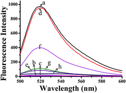 Graphical abstract: Triple-helix molecular-switch-actuated exponential rolling circular amplification for ultrasensitive fluorescence detection of miRNAs