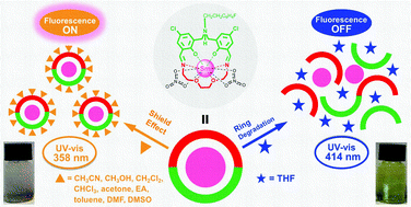 Graphical abstract: An excellent colorimetric and “turn off” fluorescent probe for tetrahydrofuran based on a luminescent macrocyclic samarium(iii) complex